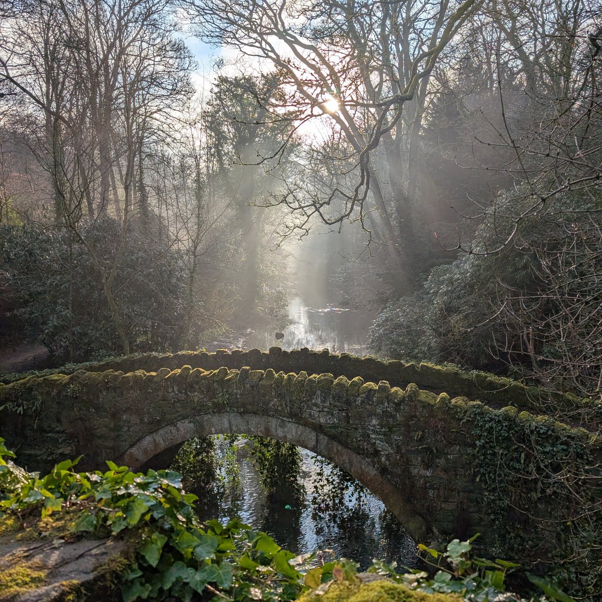 Well that post took off!  I will be going over all the responses next week. 

In the meantime enjoy a pic from my morning run.