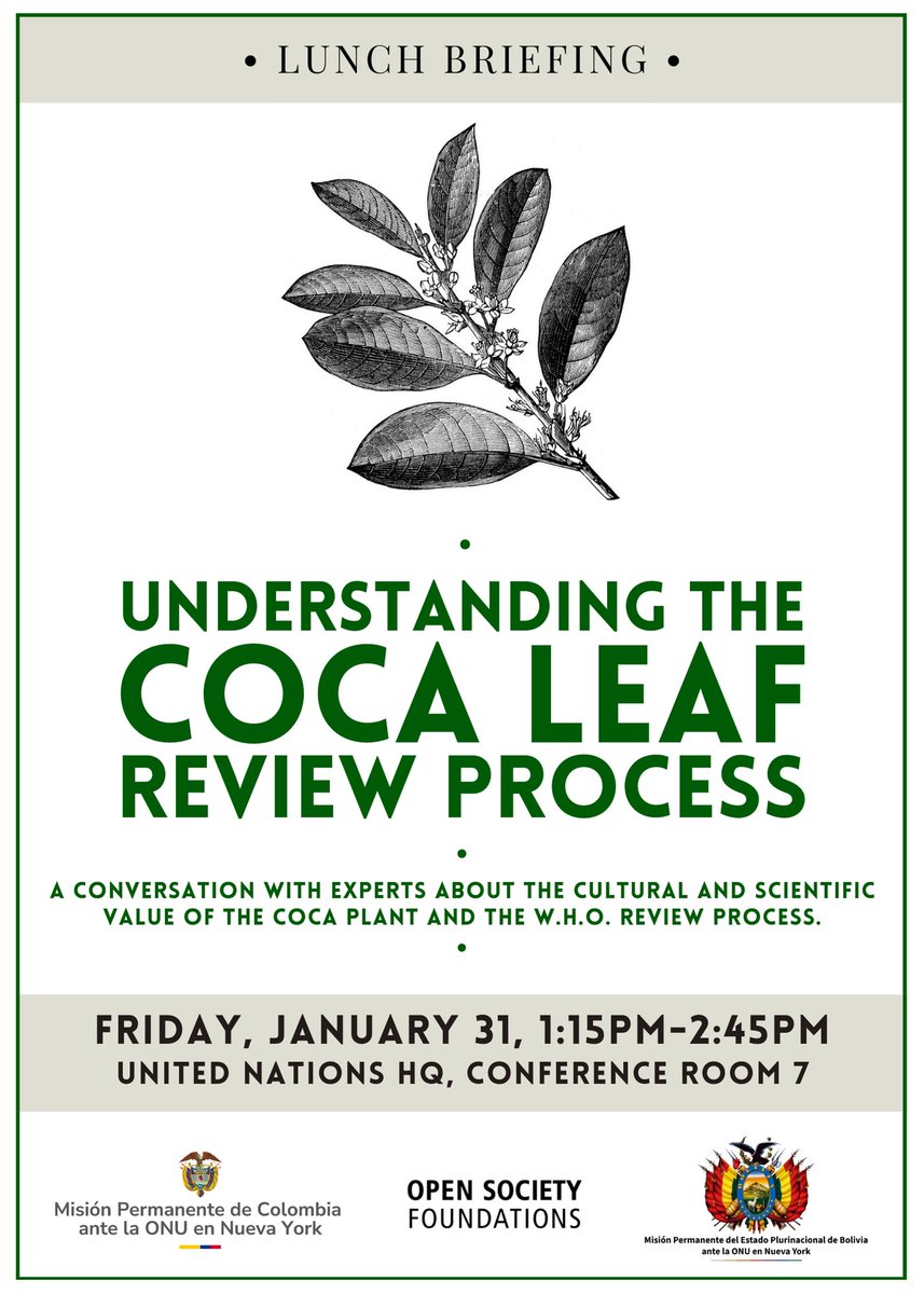 Super excited to talk today about the botanical and evolutive context of the #coca leaf on this fantastic event organised by <a href="/OpenSociety/">Open Society Foundations</a> at the <a href="/UN/">United Nations</a> HQ!
Keen on learning about the cultural and scientific value of this sacred plant? Join here for free! 🍃
webtv.un.org/en/asset/k15/k…