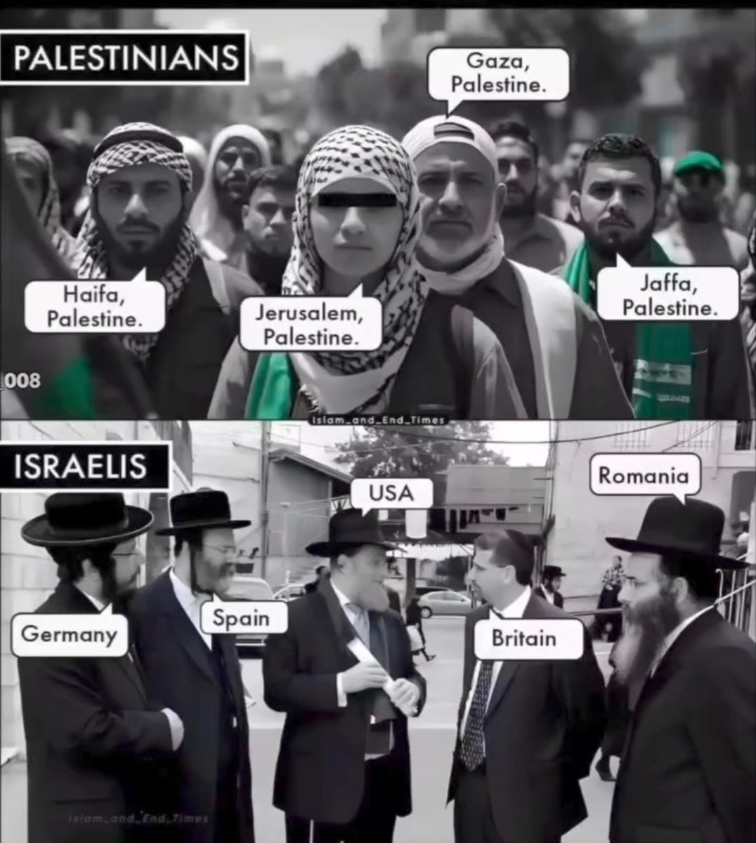 Nadira Ali🇵🇸 tweet media