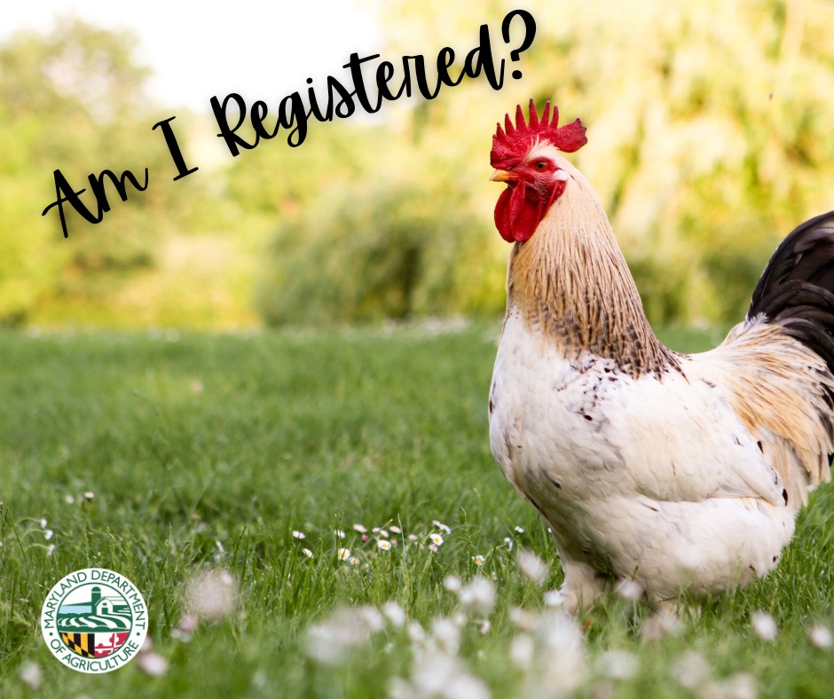 Maryland Department of Health tweet media