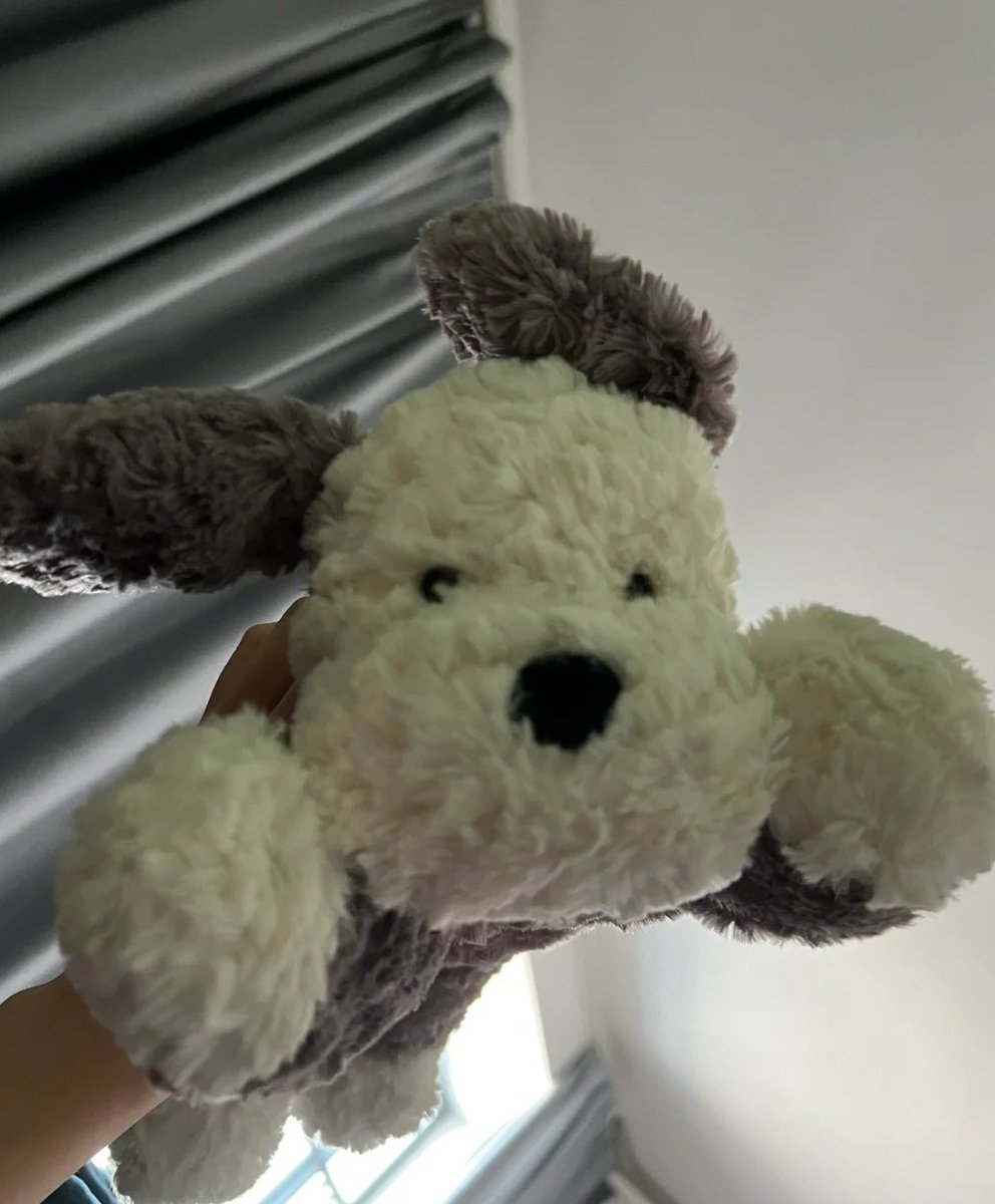 Adorachen36's tweet image. The puppy is coming, please move aside