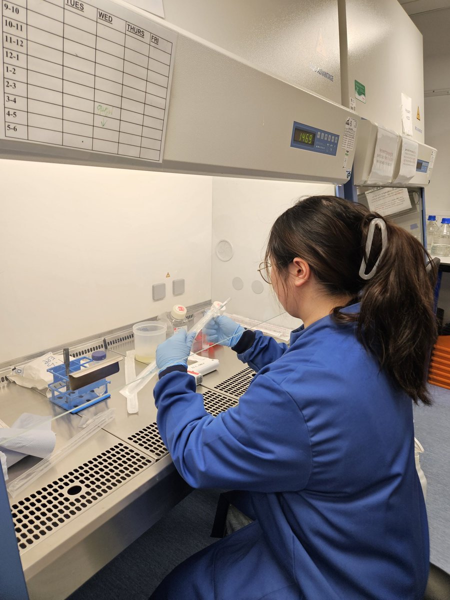 Nicola Britton1013 tweet media