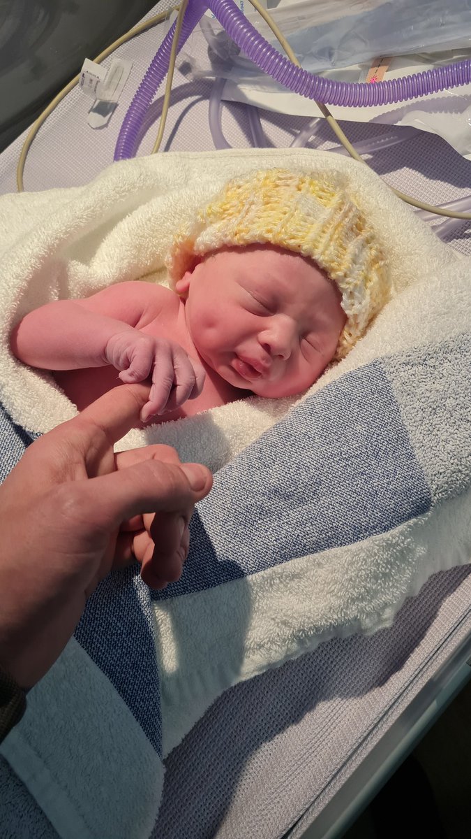 Dan Elwell tweet media