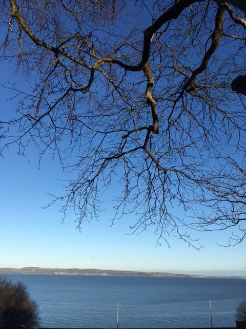 StarbankPark's tweet photo. Starbank Park looking stunning in the January sunshine! @Starbankpark #thanksKim #beautifulwalledgardenpark https://t.co/SjOx0339sw