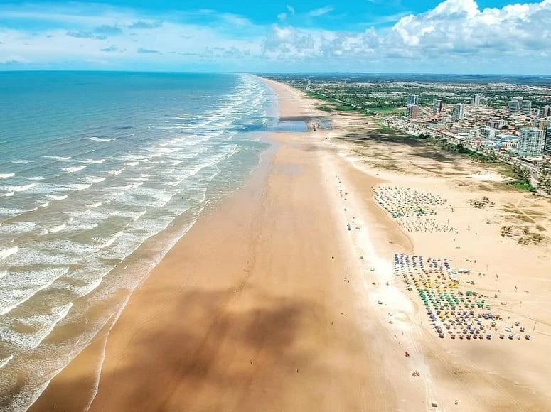 leonardo tweet media