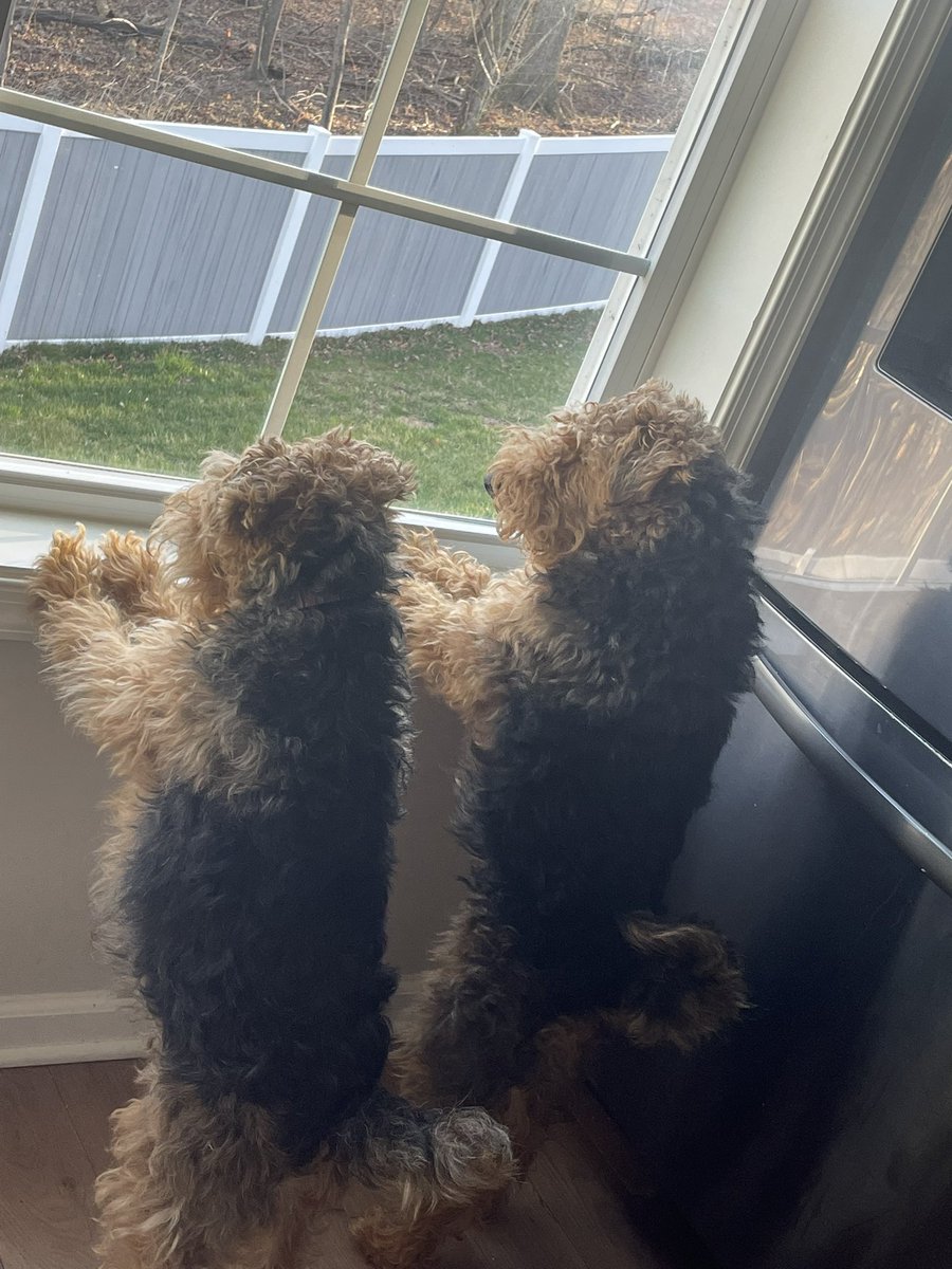 Daniel V. Zurawski tweet media