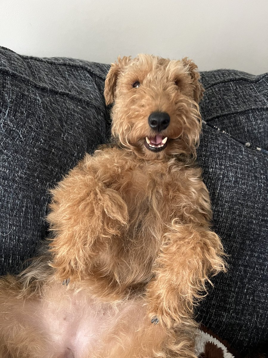 Daniel V. Zurawski tweet media