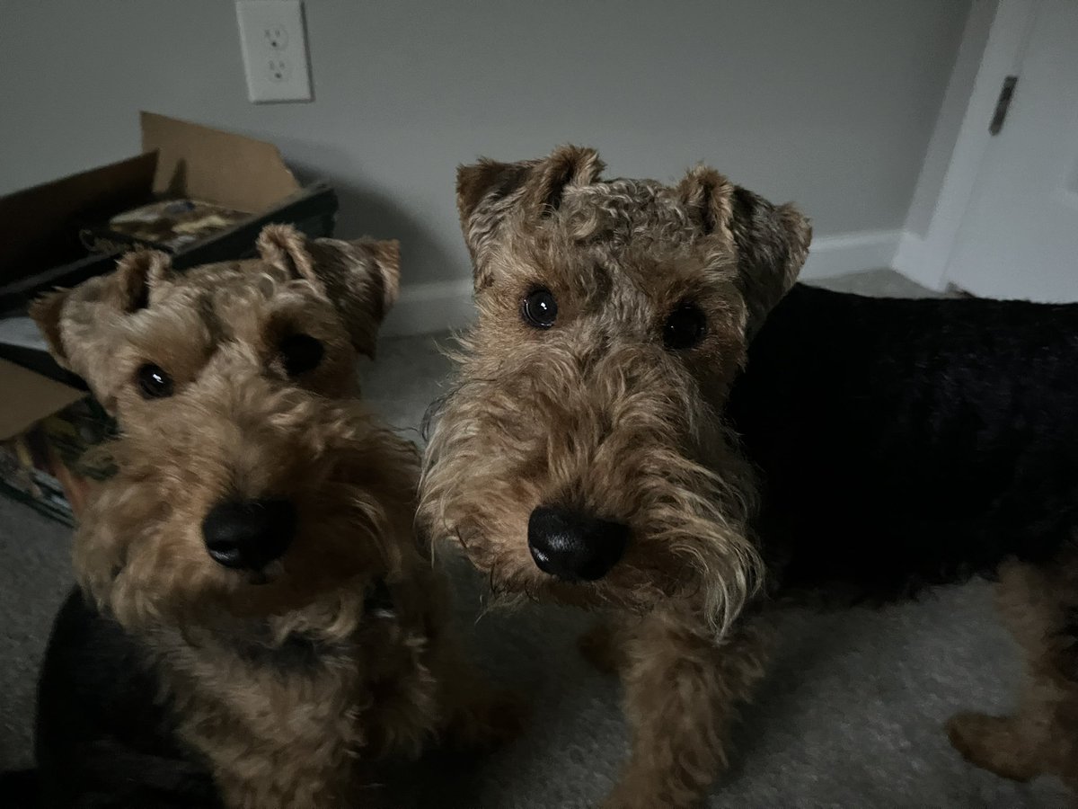 Daniel V. Zurawski tweet media