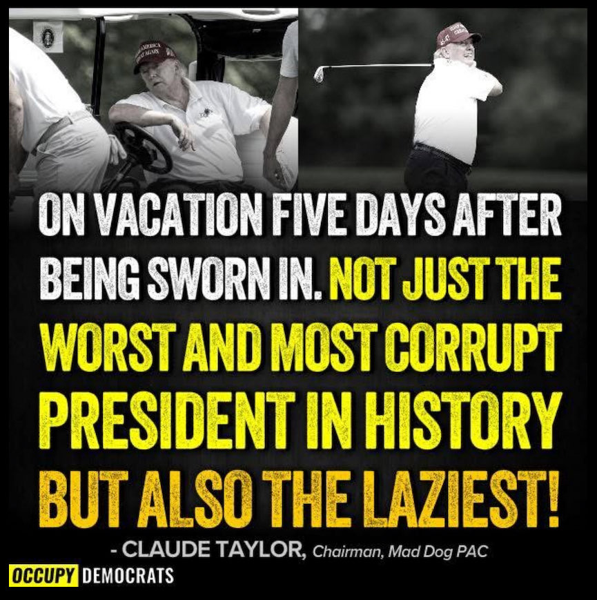 kangaroos991's tweet photo. Probably cheats at golf too? ⤵️ https://t.co/asjUL70cJr