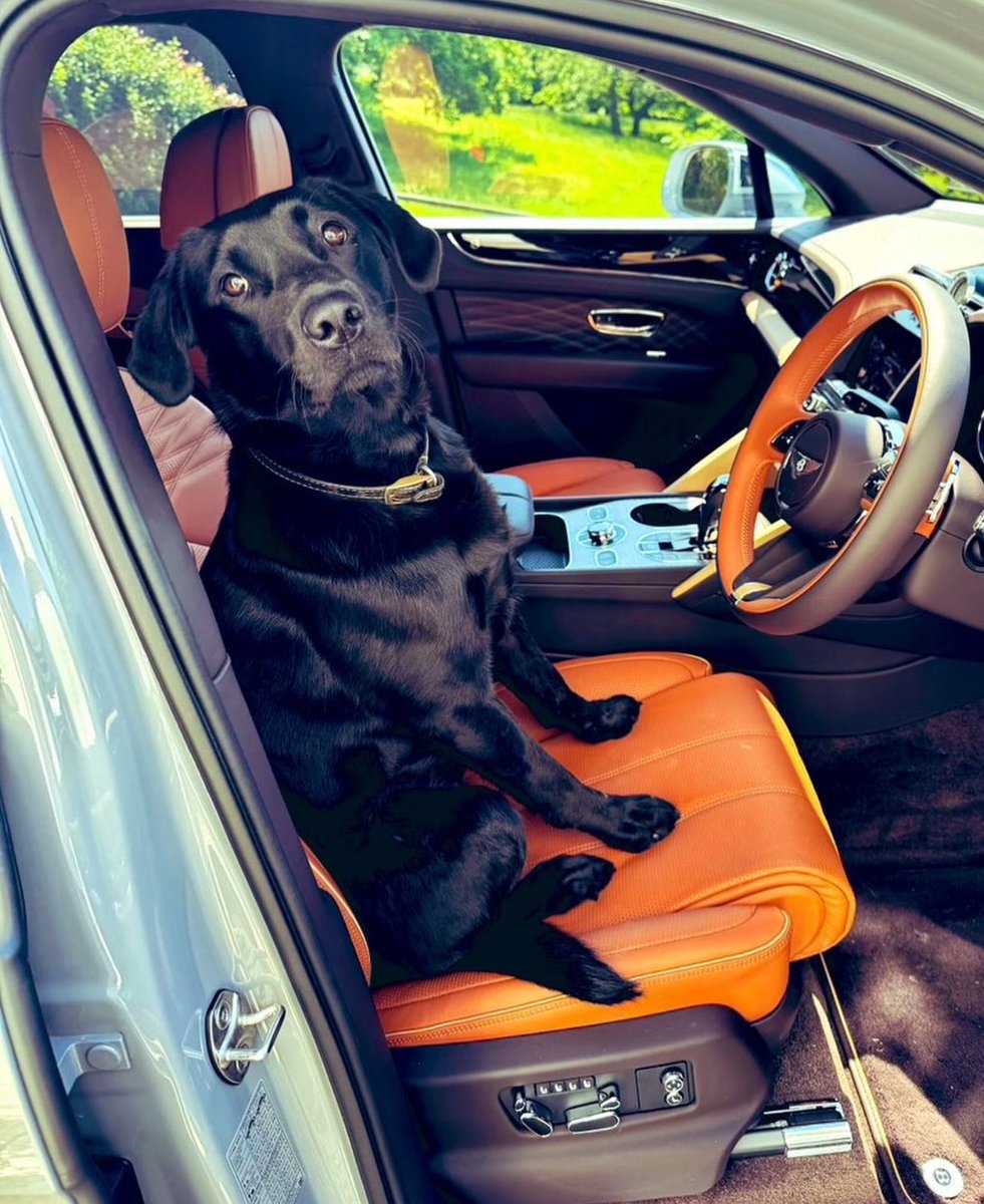 The Intercooler tweet media