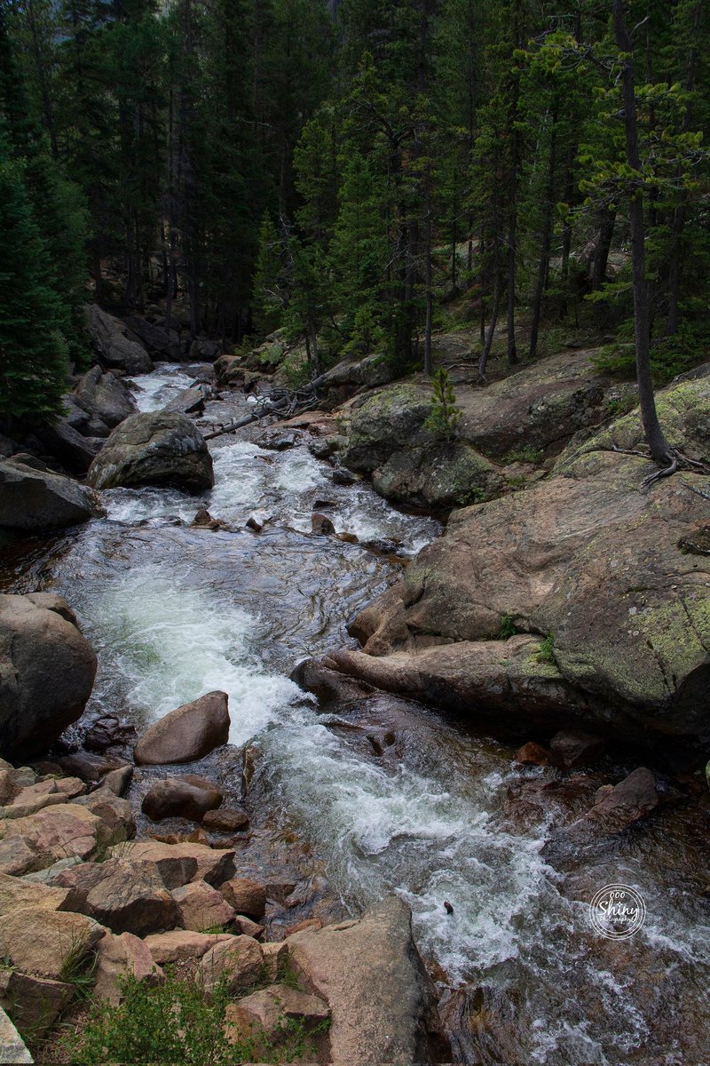 oooshinyphotos's tweet photo. Fall River Below Chasm Falls
#FallRiver #river #water #rocks #trees #nature #landscape #ChasmFalls #RockyMountainNationalPark #RMNP #Colorado #Canon #photography #riverphotography #waterphotography #rockphotography #treephotography #naturephotography #landscapephotography
1/2 https://t.co/Vk8PSV2MHZ
