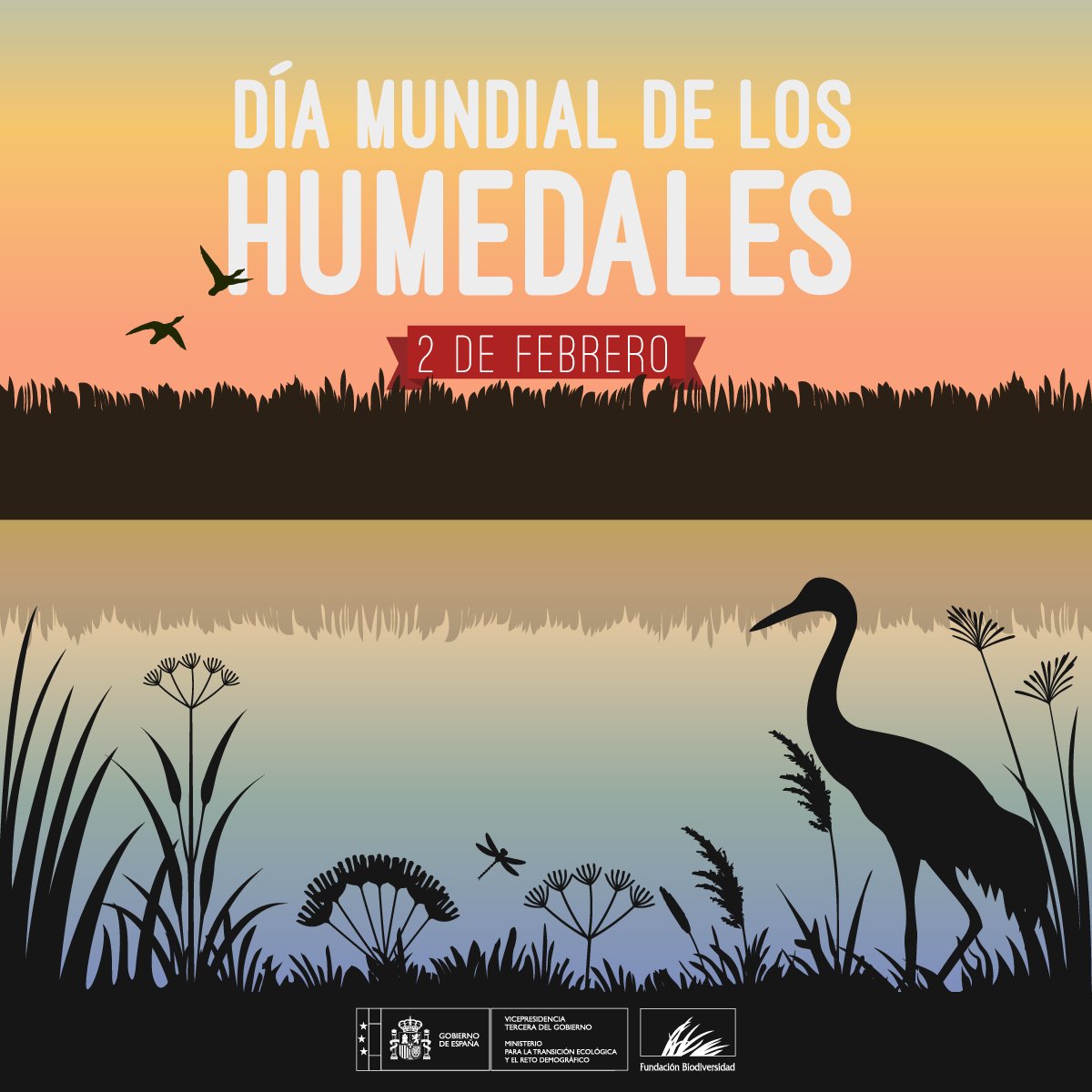 Los humedales nos dan vida:

🦆 Refugio de #biodiversidad
🌡️ Regulan el clima
🥤 Filtran el agua
🌊 Protegen contra inundaciones
🍚 Aportan alimentos
🪵 Brindan materias primas

A pesar de su importancia, están desapareciendo.
¡Es hora de protegerlos!

#DíaMundialDeLosHumedales