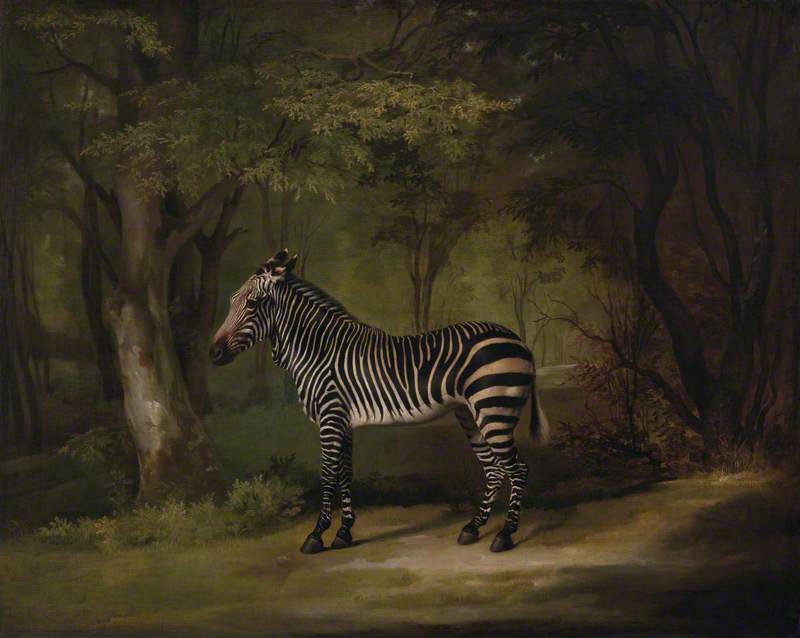 Art UK (@artukdotorg) on Twitter photo While zebras have never been a common subject for artists, <a href="/ImageoftheZebra/">Image of the Zebra</a> has chosen his top ten zebra paintings 👉 artuk.org/discover/stori…
There are over 60 works tagged with 'zebra' on Art UK! #InternationalZebraDay
'Zebra' by George Stubbs (1724–1806) 📸 <a href="/YaleBritishArt/">YaleBritishArt</a> While zebras have never been a common subject for artists, <a href="/ImageoftheZebra/">Image of the Zebra</a> has chosen his top ten zebra paintings 👉 artuk.org/discover/stori…
There are over 60 works tagged with 'zebra' on Art UK! #InternationalZebraDay
'Zebra' by George Stubbs (1724–1806) 📸 <a href="/YaleBritishArt/">YaleBritishArt</a>