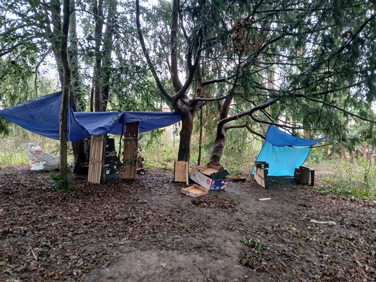 Sustainable Schools Leicester tweet media