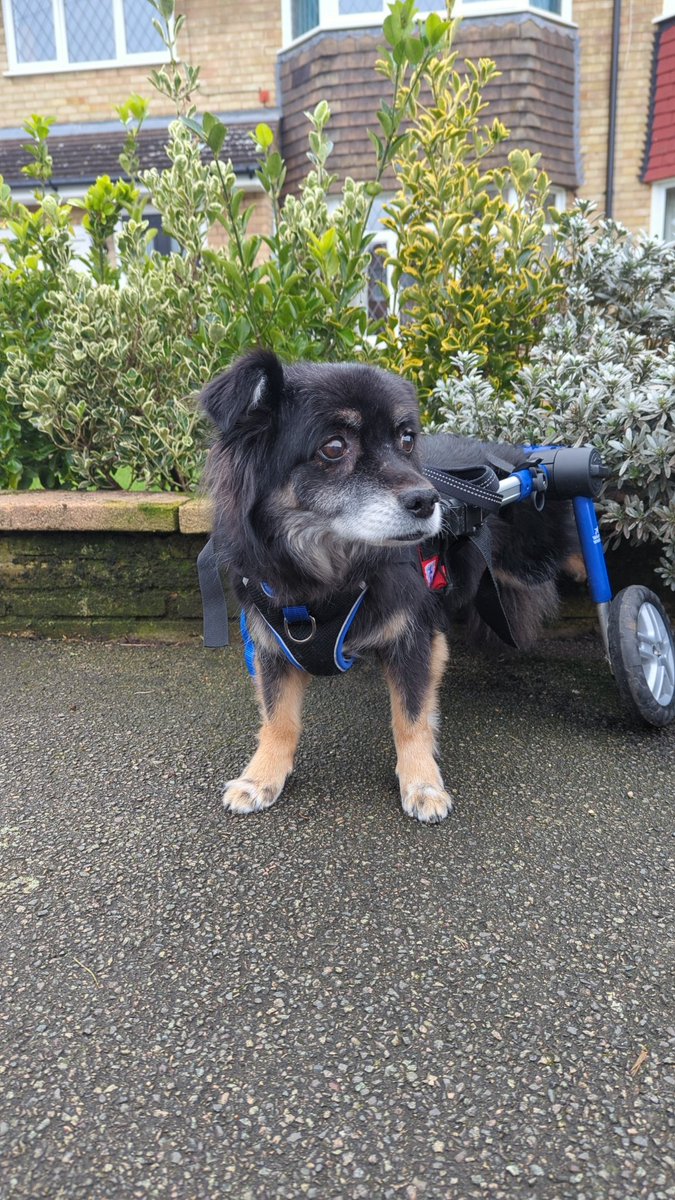 Amy Dufall tweet media