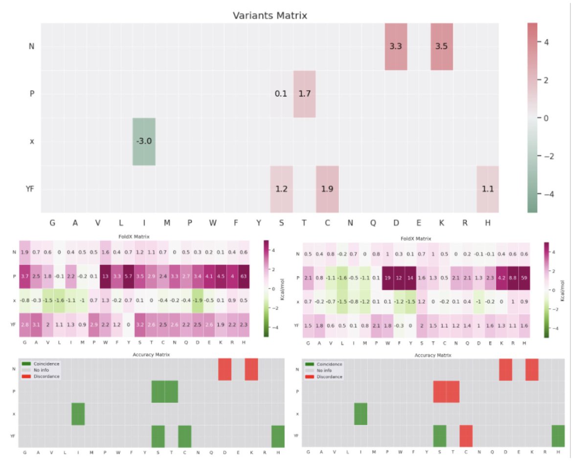 BiologyAIDaily's tweet image. Integrating AlphaFold2 Models and Clinical Data to Improve the Assessment of Short Linear Motifs (SLiMs) and Their Variants’ Pathogenicity  

1. Short Linear Motifs (SLiMs) play essential roles in protein interactions and cellular processes. This study presents an updated version…