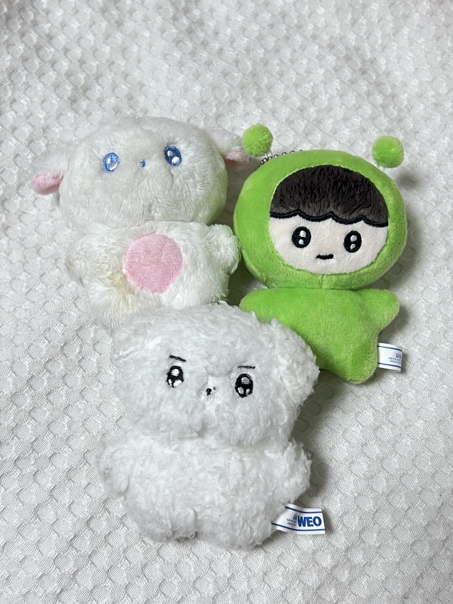 asdf_sell's tweet photo. 더보이즈 영훈 인형 양도 판매

설빵이 운미포 1.5 (이염있음)
왹빵이 운미포 2.0
빵꼬미 운미포 2.0

일괄시 5 반택포

더보이즈 상연 제이콥 영훈 현재 주연 케빈 뉴 큐 주학년 선우 에릭 더비 차니냥 쪼구리 달곰 쥬냥이 마물쭈 빵꼬미 썬꼬미 너굴삐 째콩이 째꼬미 현키 썬키 쭈요 큐람지 https://t.co/IQvUa9mErz