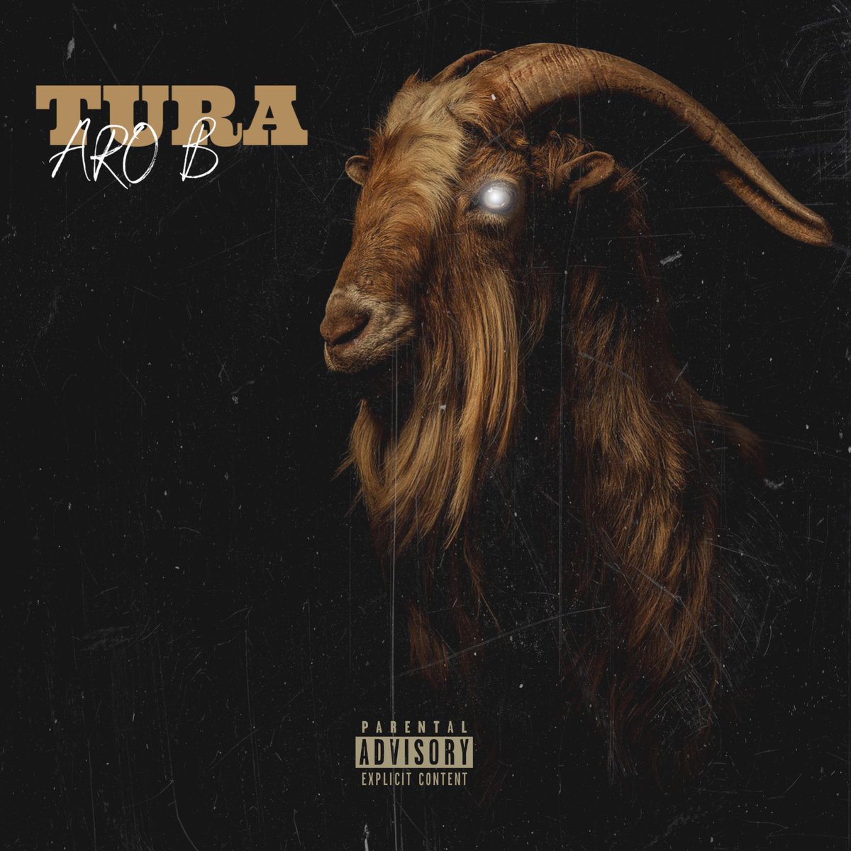 Aro__B's tweet photo. “تووڕە"
بڵاو بۆوە...!

لینک لە بایۆ دەست دەکەوێ🔥 

“TURA” out now..! 
Link in my bio 🔥 https://t.co/aDlXhdvXeo