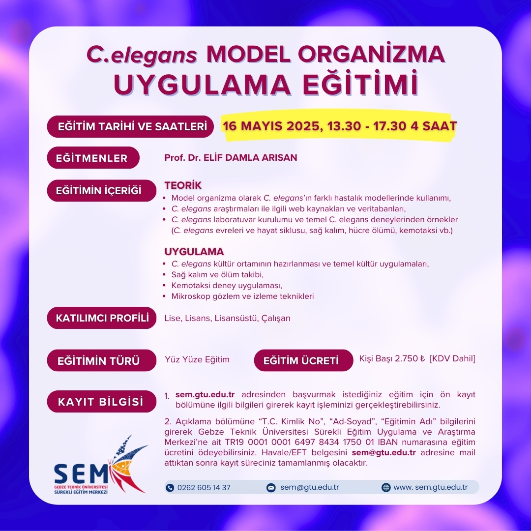 GTUSEM tweet media