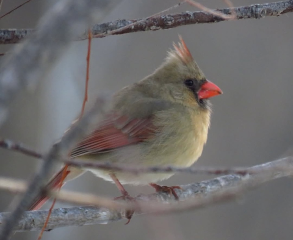 The Parklands tweet media