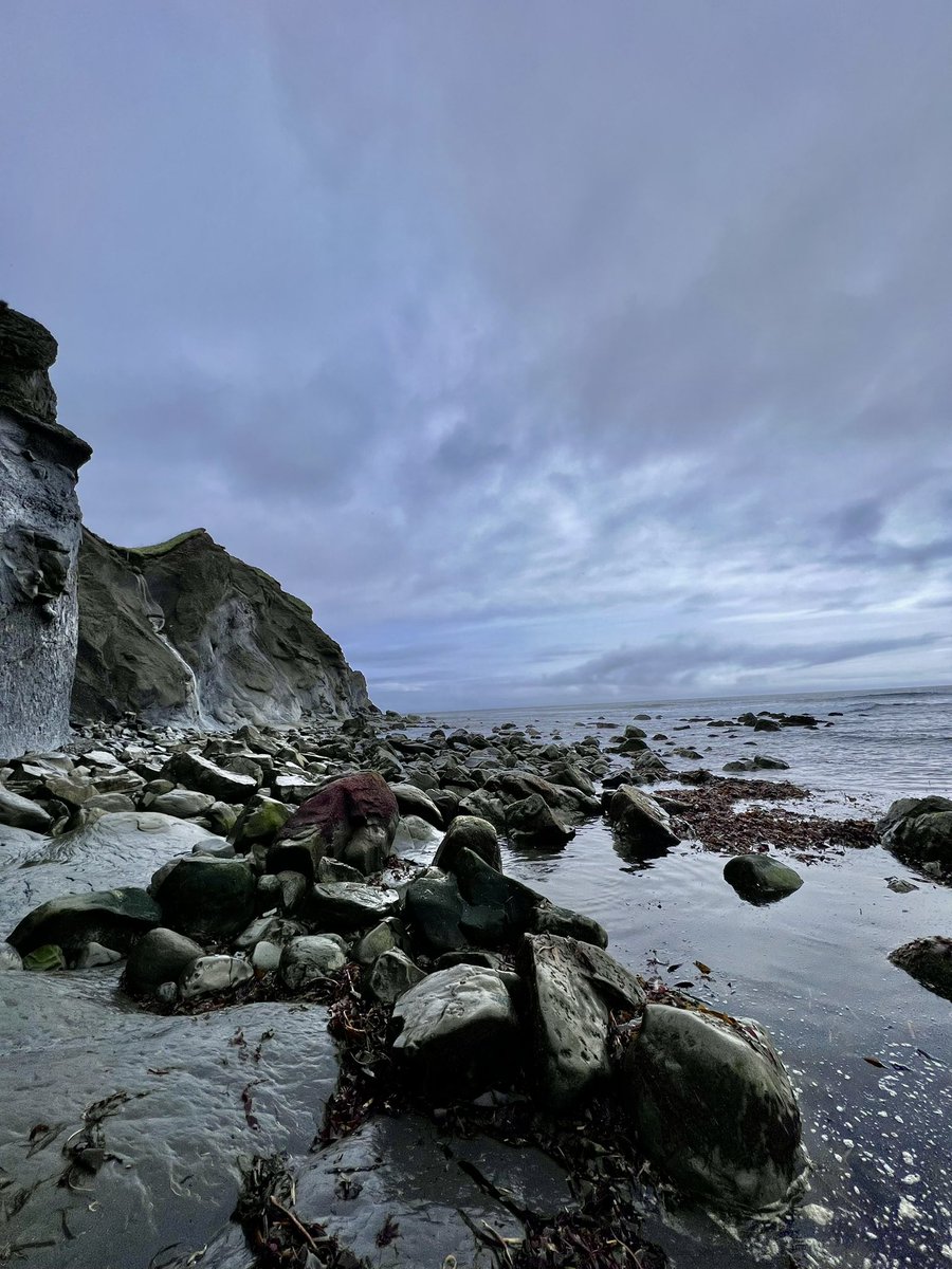 West of Licorice tweet media