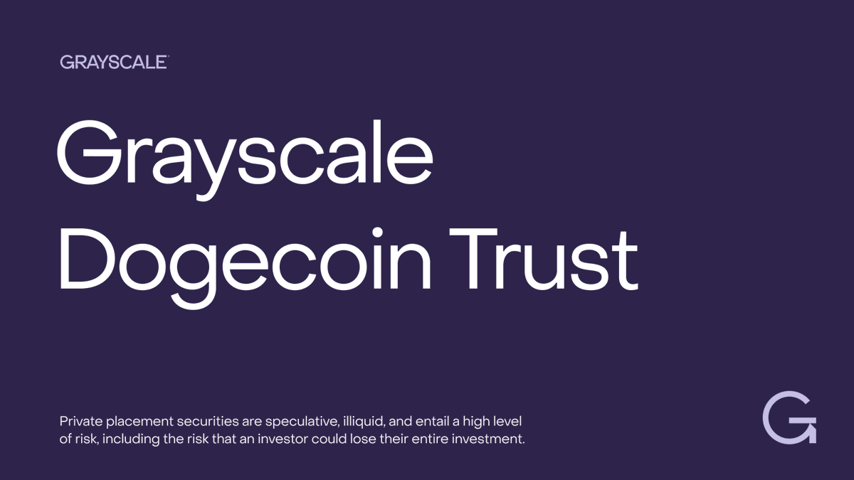 Dogecoin $DOGE is helping groups underserved by legacy financial  infrastructure to participate in the financial system. Learn more about $ DOGE, or see important disclosures: https://t.co/EhQkiuri2Q