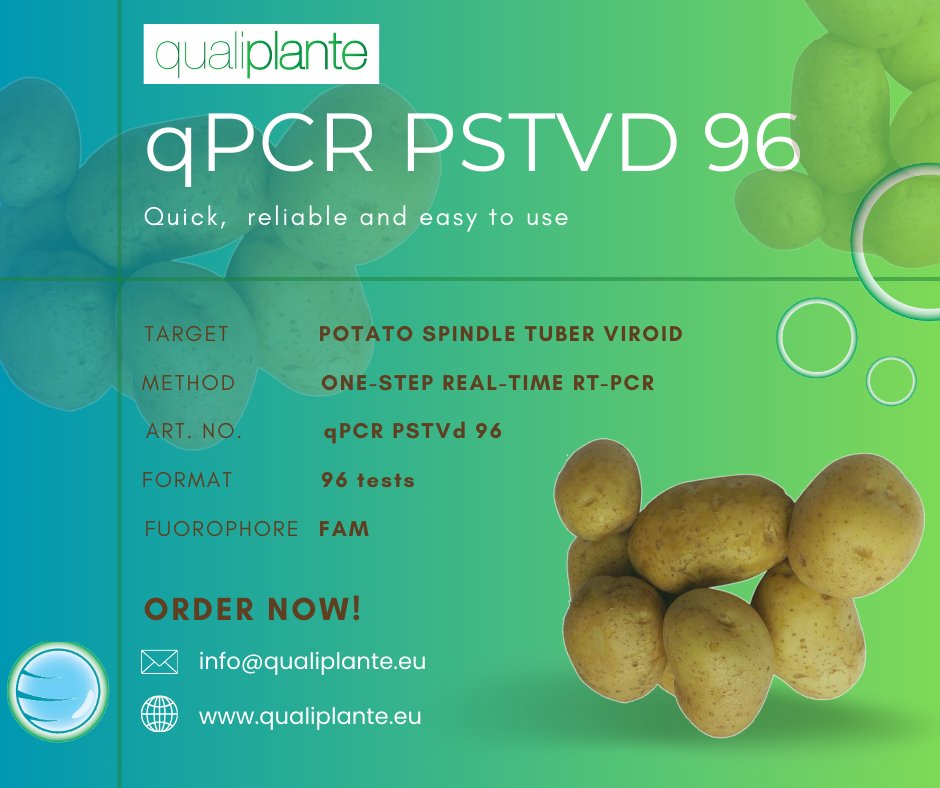 Qualiplante's tweet photo. Do you need to analyse #PSTVd? 
It is time to use the right tool!
You can use our qPCR PSTVd 96 for the detection of #Potato spindle #tuber #viroid (#PSTVd) in Real-Time #PCR!

#testing #potatoes #phytodiagnostic #molecular #kit #laboratory #diagnostics #easytouse #readytouse https://t.co/C0lsO7986C