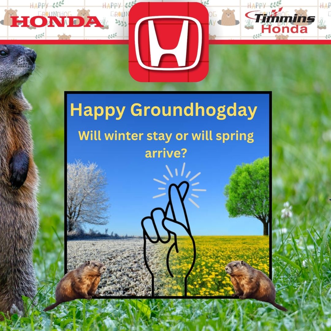 TimminsHonda's tweet image. #happygroundhogday #winterorspring #timminshonda #TimminsOn