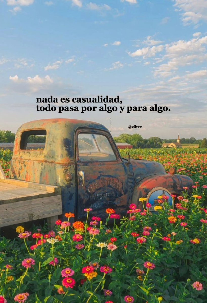 zibá (@zibxx) on Twitter photo 