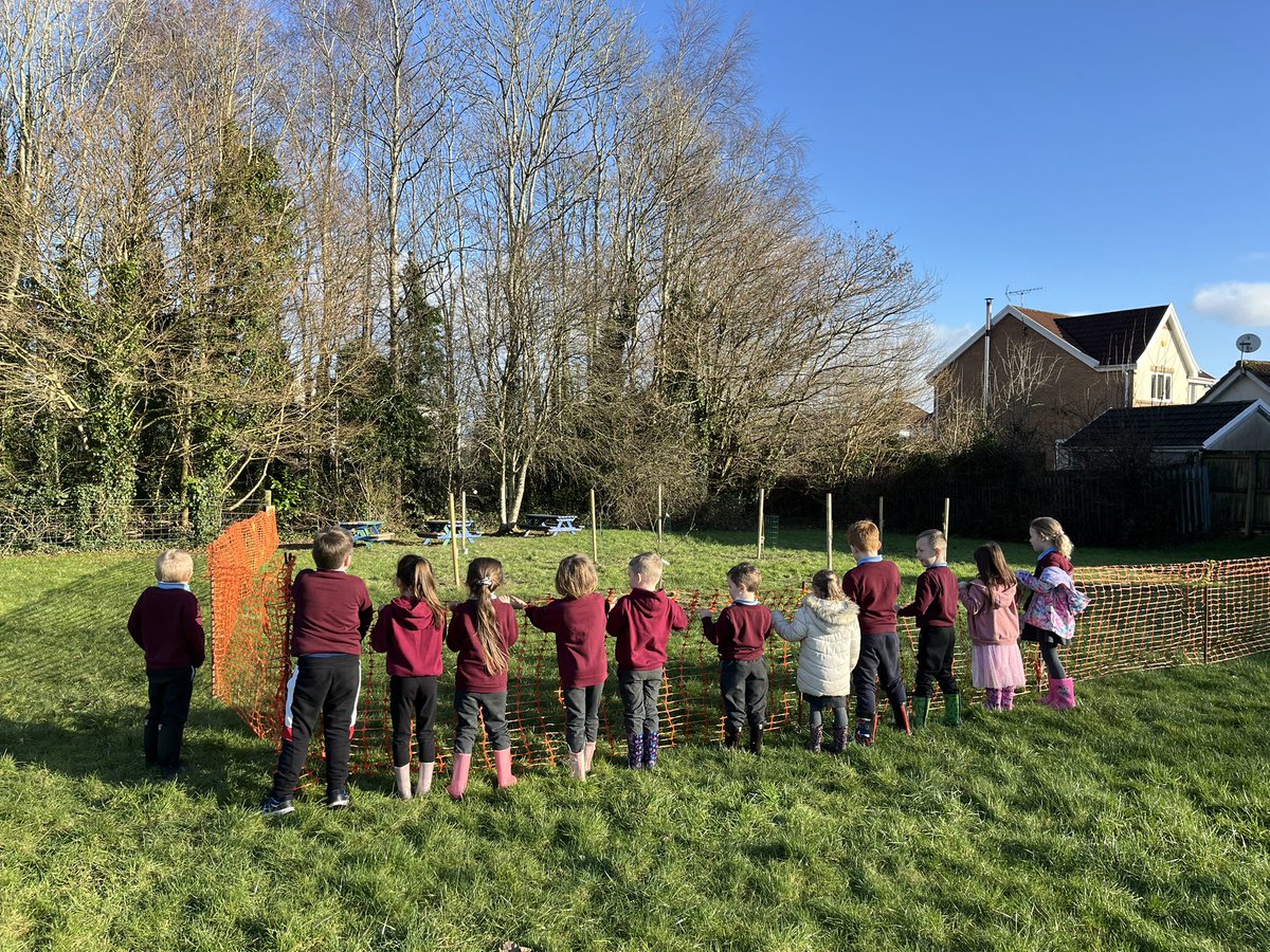 Plasyfelin Primary (@plasyfelin) on Twitter photo A fantastic start to our ‘Future-Proofing Plasyfelin’ project working with <a href="/CACGH01/">Climate Action Caerphilly</a> & <a href="/gazal_lynn/">Lynn Gazal</a> - planting a new orchard of local heritage varieties 🌳🏴<a href="/CaerphillyCBC/">CaerphillyCBC</a> <a href="/WG_Education/">Welsh Government Education</a> A fantastic start to our ‘Future-Proofing Plasyfelin’ project working with <a href="/CACGH01/">Climate Action Caerphilly</a> & <a href="/gazal_lynn/">Lynn Gazal</a> - planting a new orchard of local heritage varieties 🌳🏴<a href="/CaerphillyCBC/">CaerphillyCBC</a> <a href="/WG_Education/">Welsh Government Education</a>
