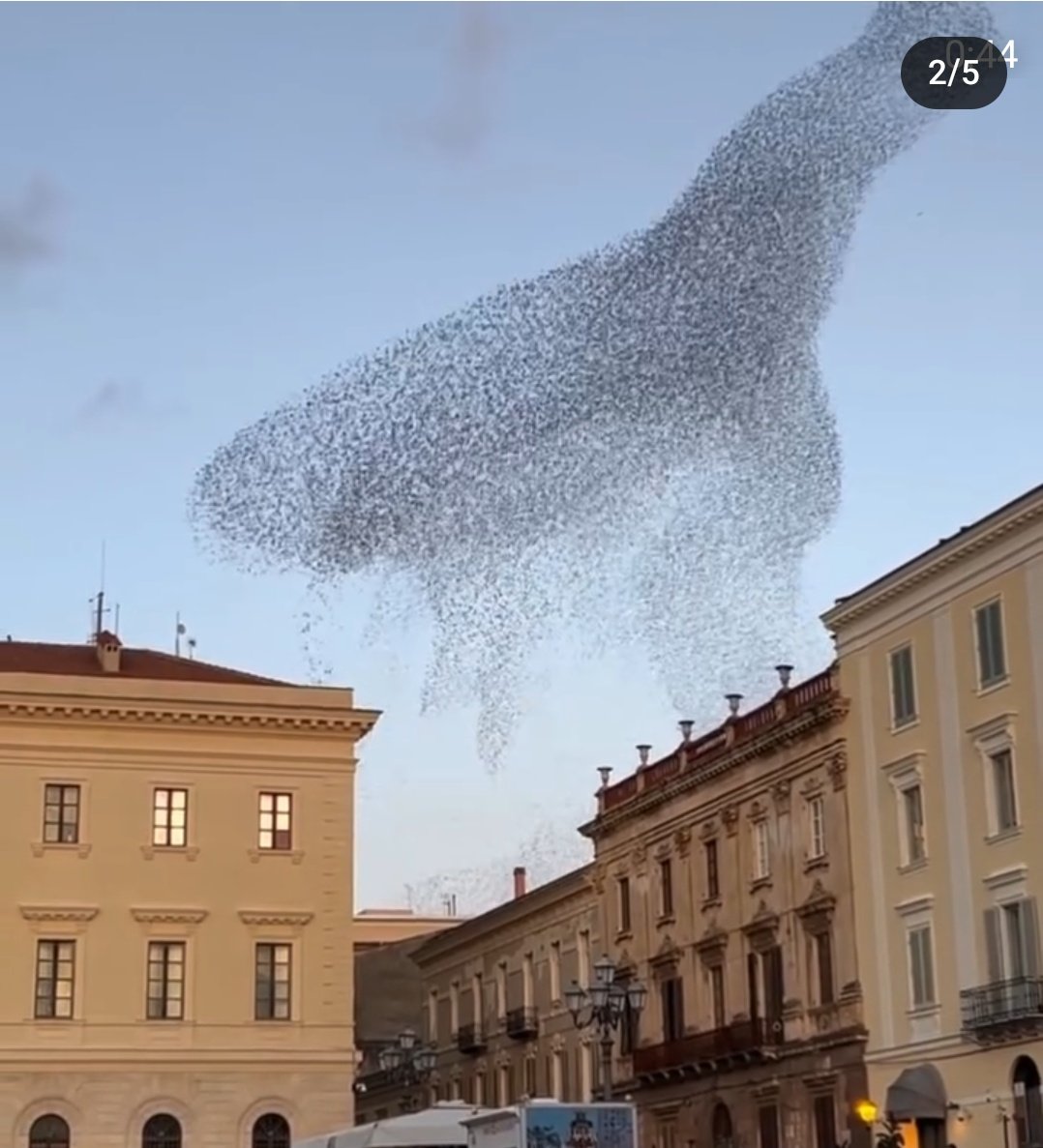 umicihan's tweet photo. A whale, a fish and a mermaid I can see there..
#whale #fish #mermaid #dancingbirds #italy https://t.co/VGwt8TAFdS
