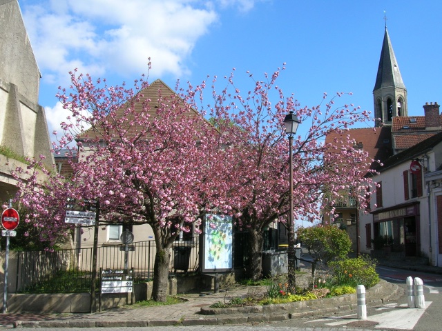 Tribune Louveciennes tweet media