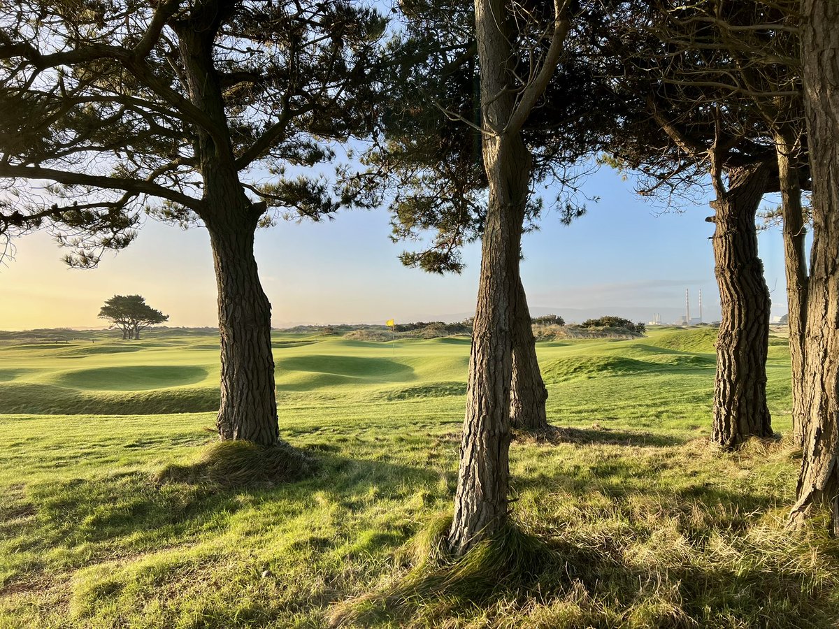 Kevin Markham tweet media