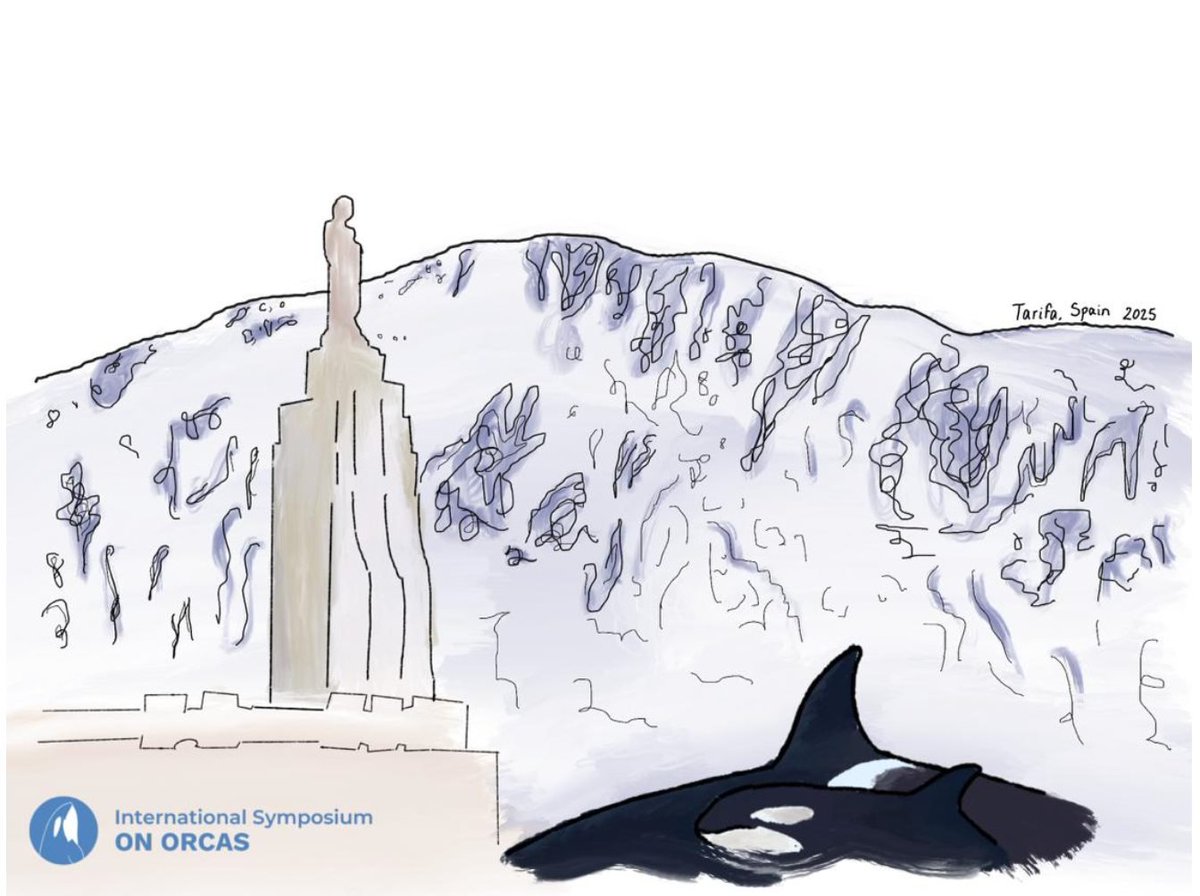 📷 Orcas are back in Tarifa! 📷📷
After 20 years, theke place in Tarifa, Spain, from February 16-21, 2025. 

📷 More than 120 presentations and 8 specialized workshops.
📷 Online access to all plenary sessions for €85.
📷 Register now at 📷 orcasymposium.org