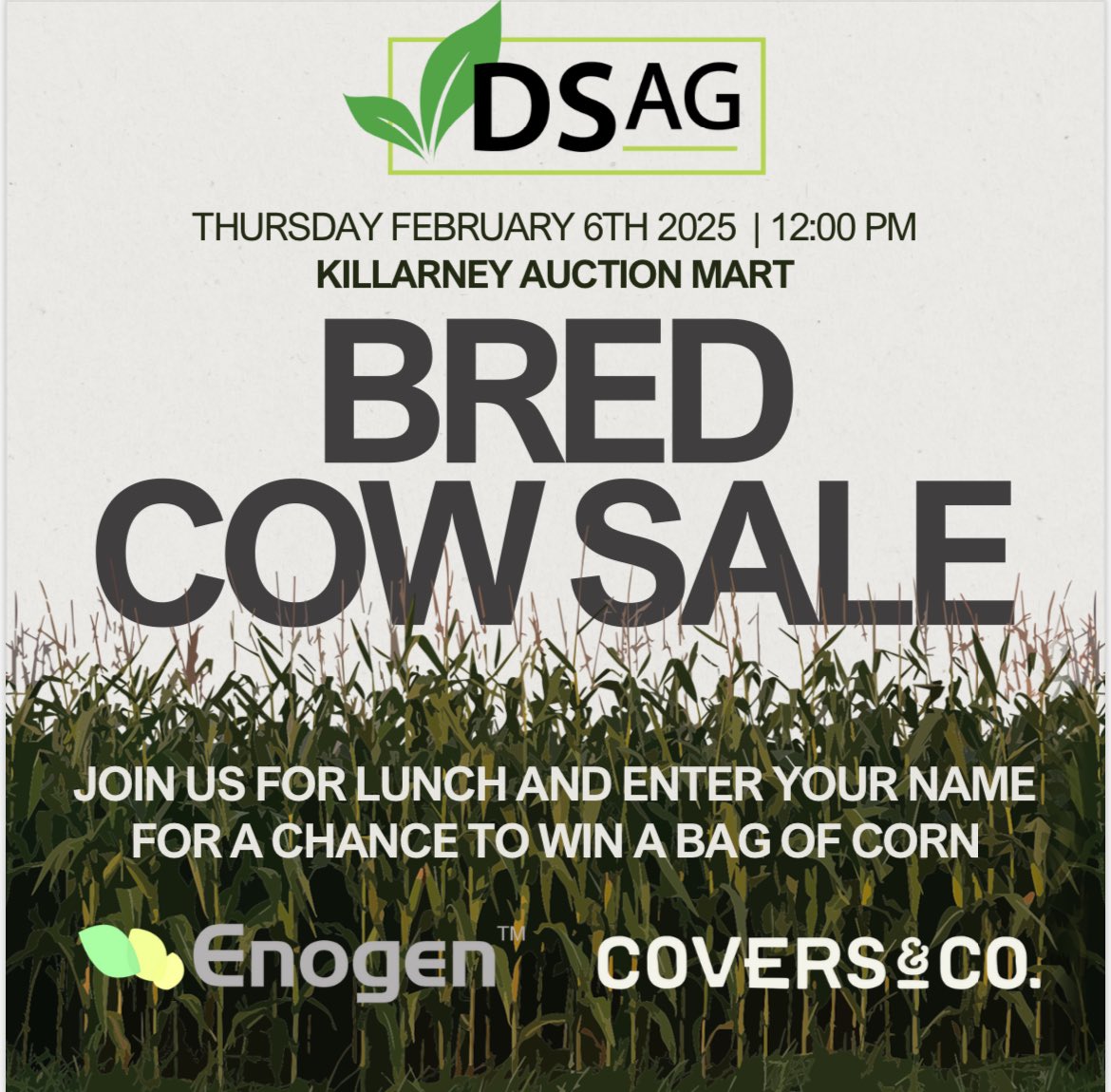 DSAG tweet media