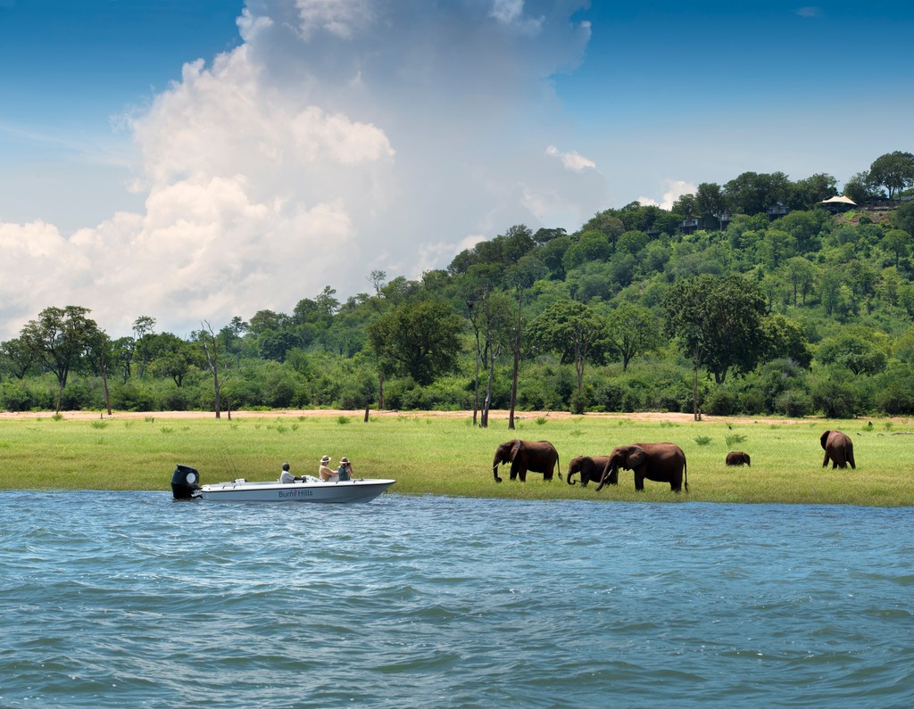AfricanBushCamp's tweet photo. Is Bumi Hills Safari Lodge on your bucket list?​

Overlooking Lake Kariba, the Lodge is surrounded by rich wildlife due to its proximity to Matusadona National Park. ​

Discover luxury in the wild.​

#Safari #Travel #Zimbabwe #Lake https://t.co/eFLk4WSjFj