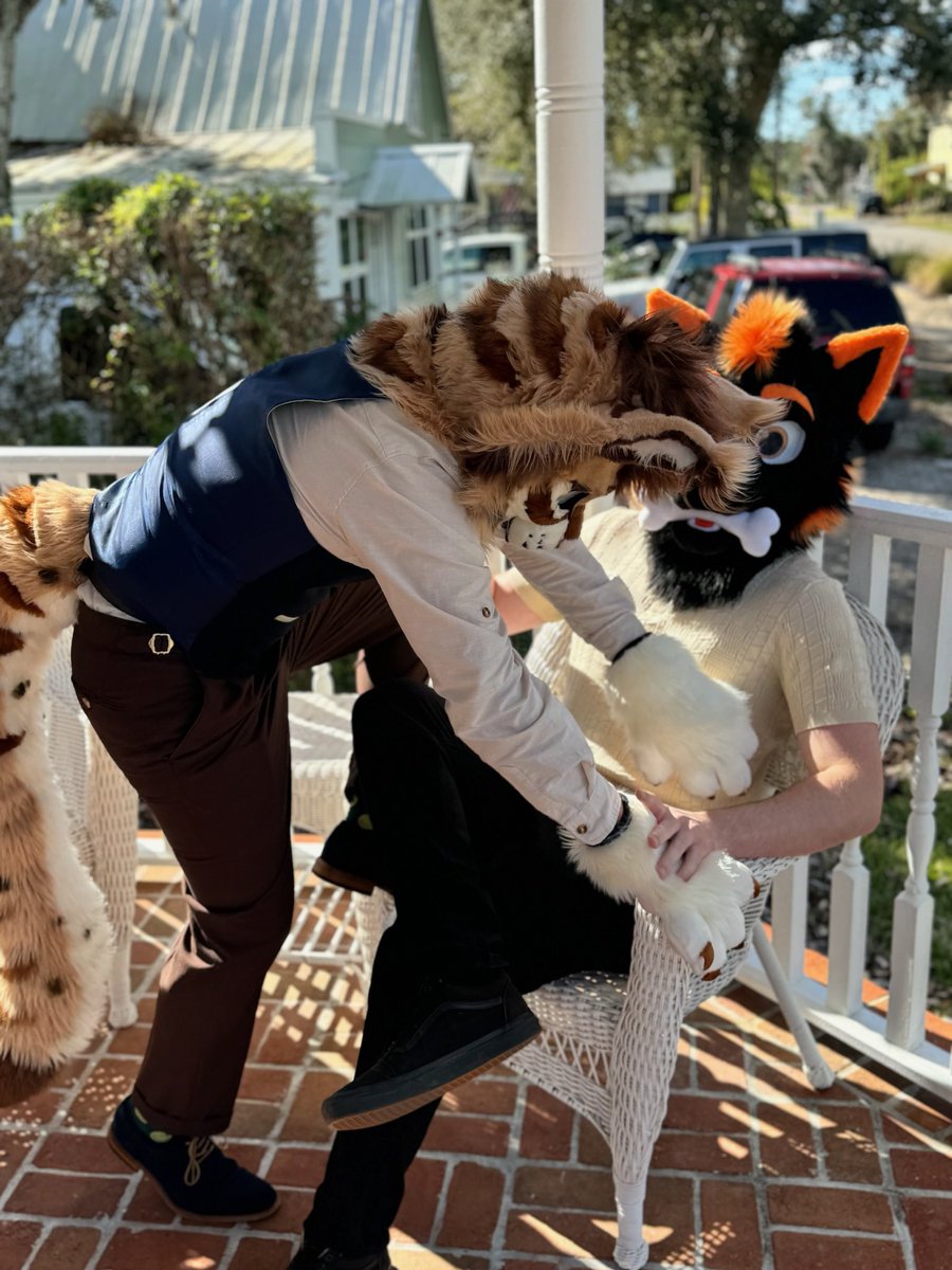 lynx_flynn's tweet photo. Typical cat behavior 🤭🐱

I don’t know why anyone was surprised 🤷

Scroll for T-posing goober 👉👉👉

.
.
.

#fursuitfriday #teaparty #beastandbones #catbehavior #furry #fursuit #fursona #fursuiter #annoying https://t.co/R6Dz1KmR1v