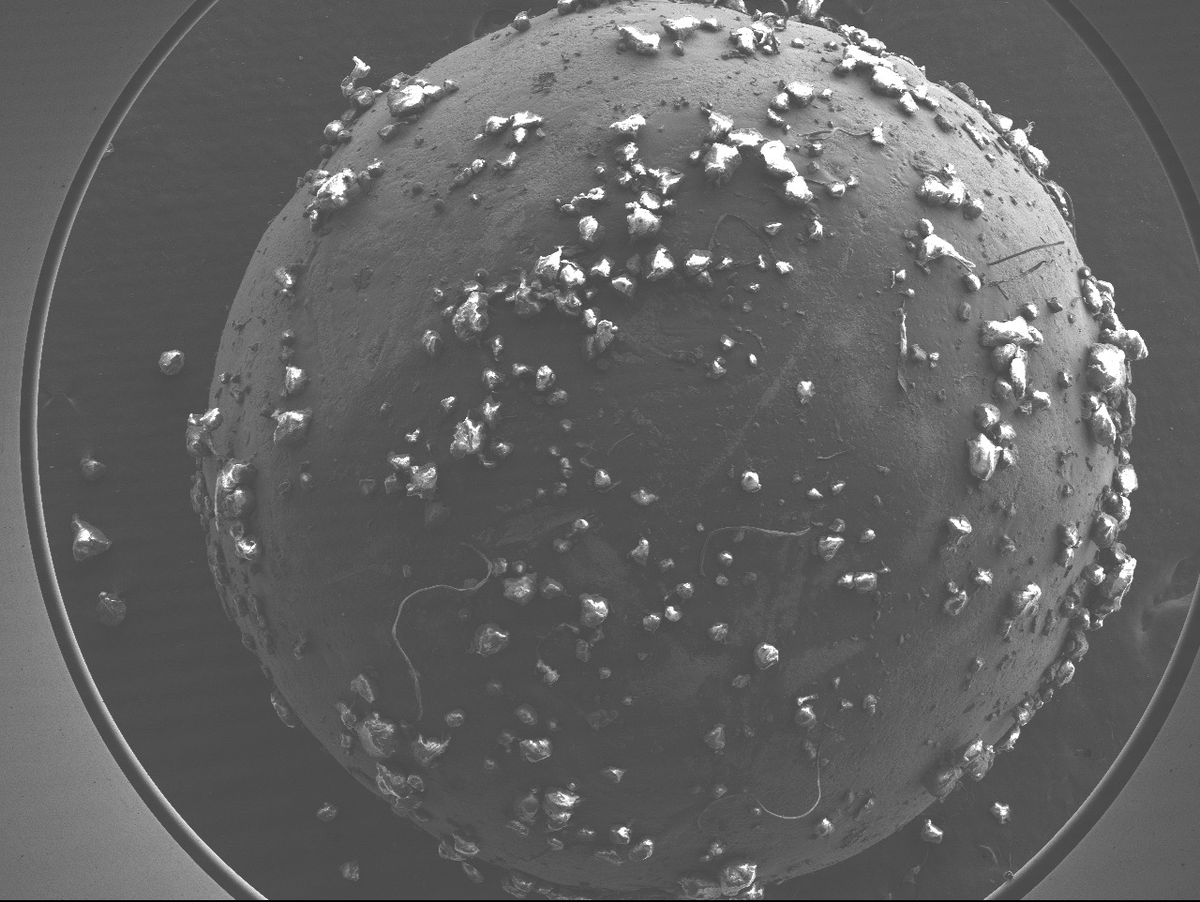 IPRNewsRadio's tweet photo. Microplastics are everywhere.

They’re in the air we breathe, the clothes we wear, even the food we eat. 

Scientists are trying to understand more about these tiny particles, including the best ways to filter them from our drinking water.

1/2 https://t.co/pGbSiKWlvB