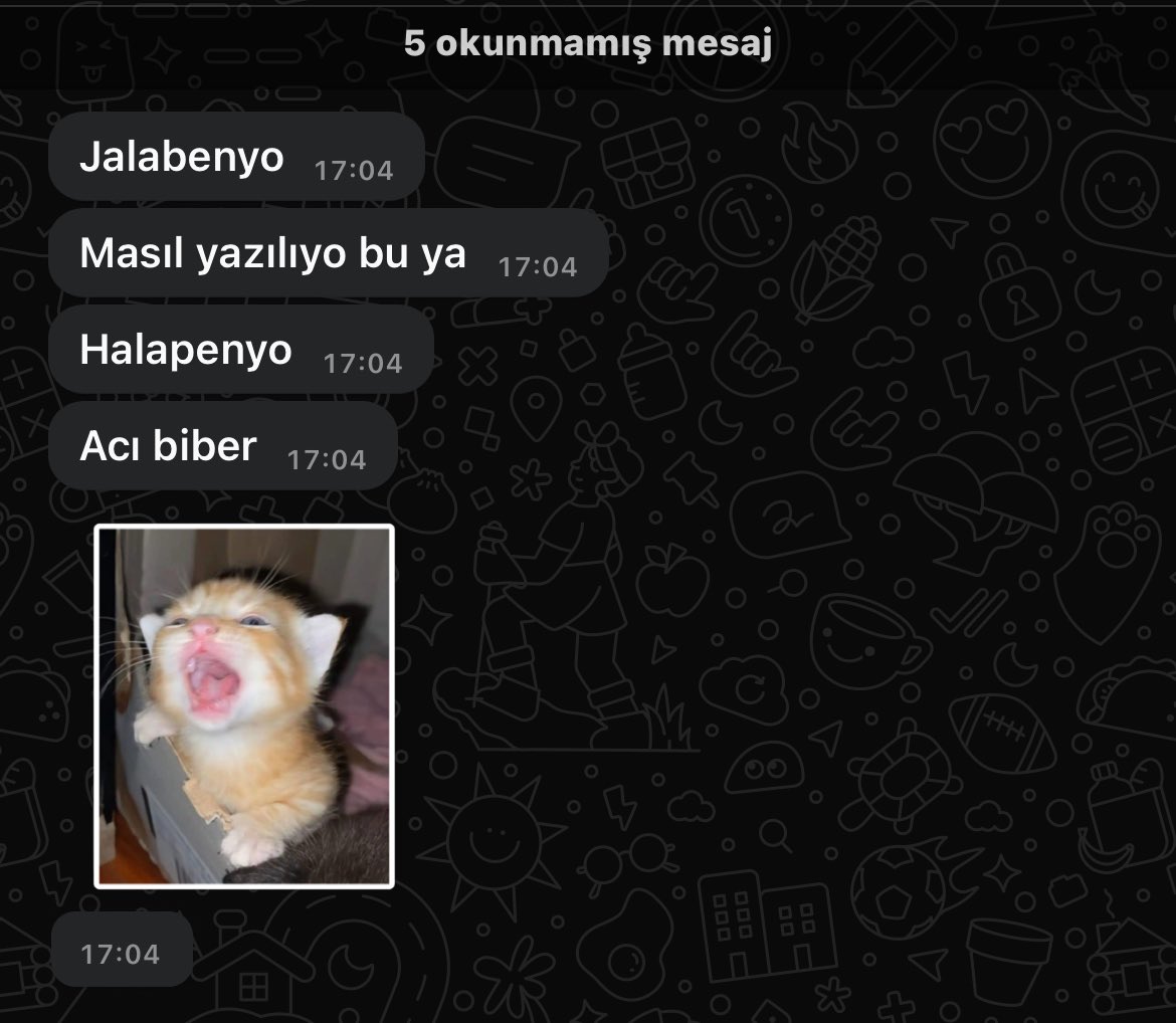 sadecemet's tweet photo. 1 yeni mesaj https://t.co/qdnkjuXCrI