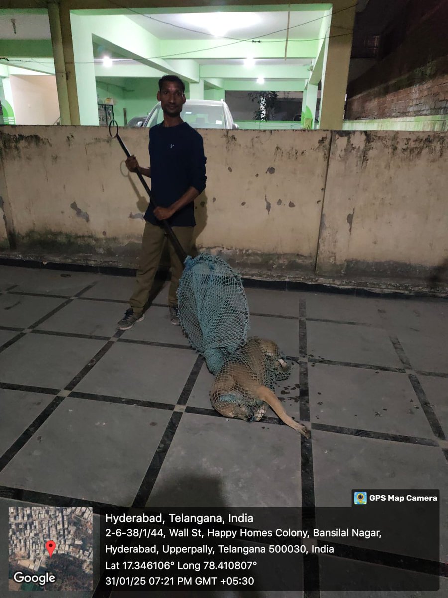 AD(Vet), LB Nagar Zone Zone- MMC tweet media