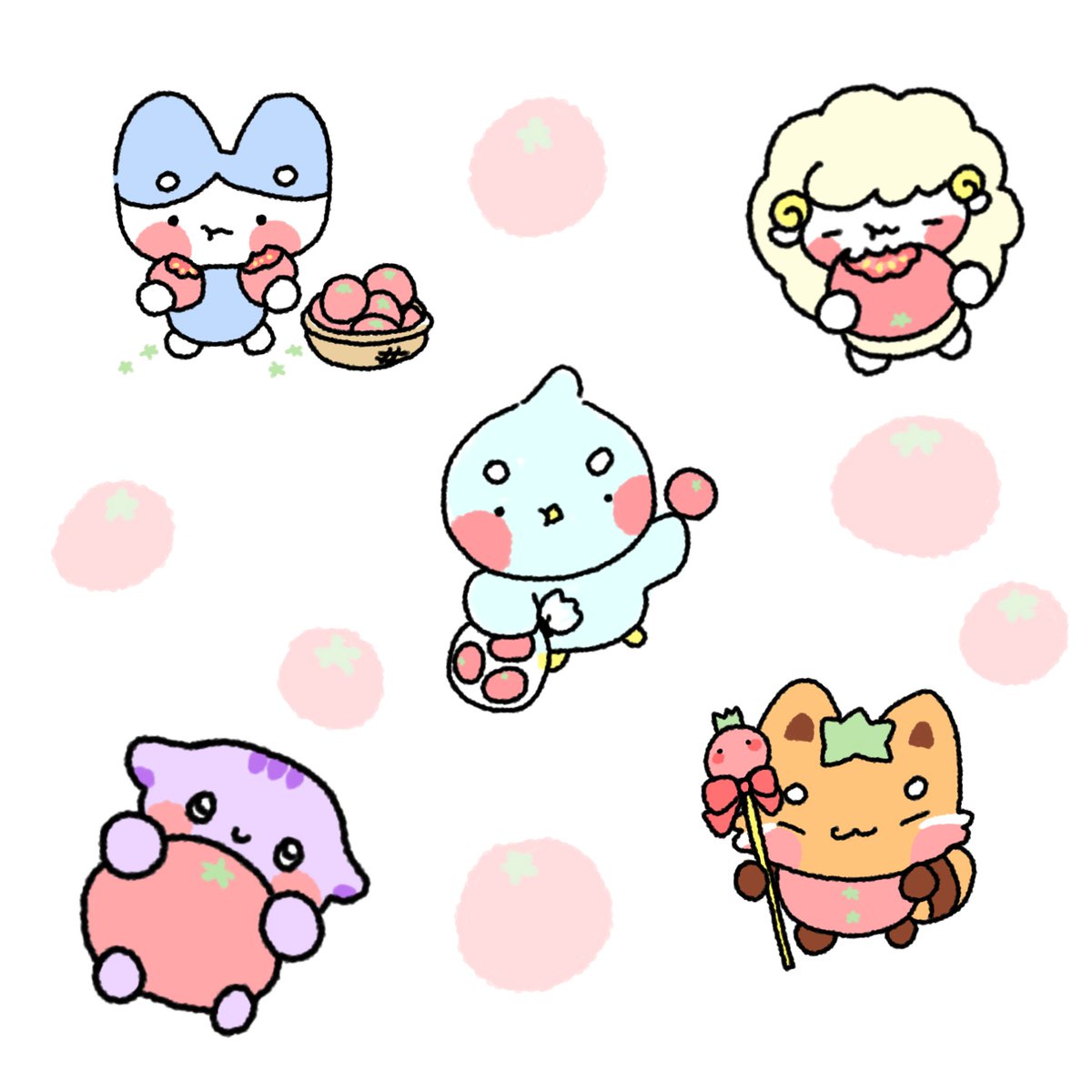 토마토 볼따구 클럽