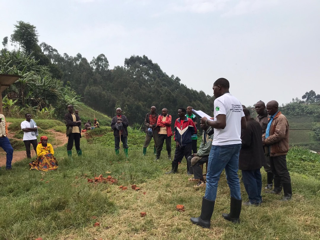 Nature Rwanda (@nature_rwanda) on Twitter photo Restoration isn’t just about planting trees, it’s about planting prosperity. Today, we supported 30 Top Tree Planters & 20 Community Tree Stewards in <a href="/RusiziDistrict/">Rusizi District</a> with sow pigs. 🐖
When communities thrive, nature flourishes. 🌍
1/3 Restoration isn’t just about planting trees, it’s about planting prosperity. Today, we supported 30 Top Tree Planters & 20 Community Tree Stewards in <a href="/RusiziDistrict/">Rusizi District</a> with sow pigs. 🐖
When communities thrive, nature flourishes. 🌍
1/3