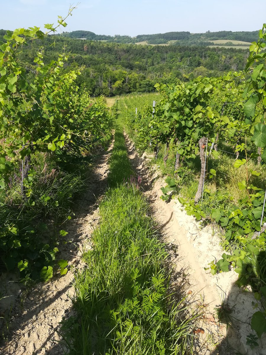 Institute for Soil Sciences (HUN-REN ATK TAKI) tweet media