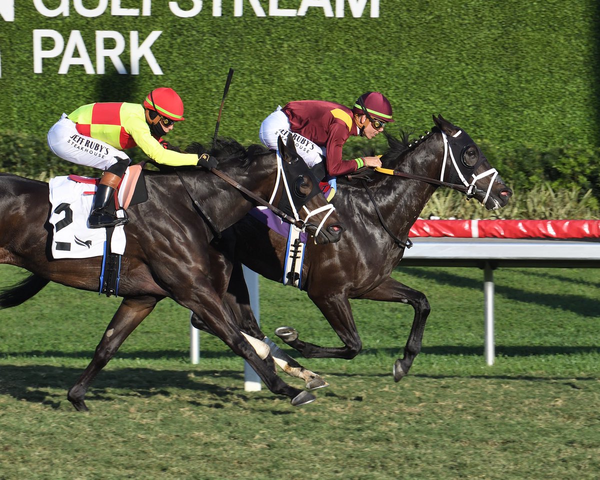 Saffie Joseph Jr. tweet media