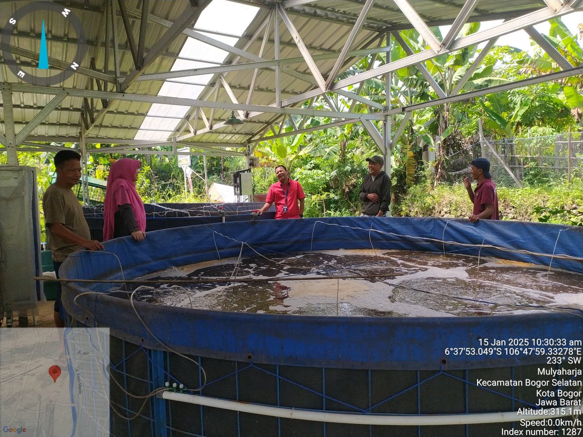 MPatekkai's tweet photo. Rabu (15/1), Patekkai, Luhkan Kota Bogor, Pembinaan Budidaya Ikan Nila Bioflok Sipanen di Pokdakan Garuda 09 #GiatLuhkanSatminkalBogor #aktivitas @pusluh_bppsdm @brpbatpp_bogor @bppsdm_kp https://t.co/vdtwCXpO3q