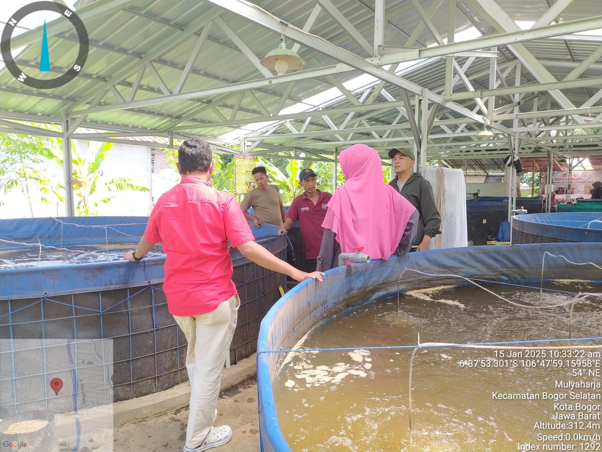 MPatekkai's tweet photo. Rabu (15/1), Patekkai, Luhkan Kota Bogor, Pembinaan Budidaya Ikan Nila Bioflok Sipanen di Pokdakan Garuda 09 #GiatLuhkanSatminkalBogor #aktivitas @pusluh_bppsdm @brpbatpp_bogor @bppsdm_kp https://t.co/vdtwCXpO3q
