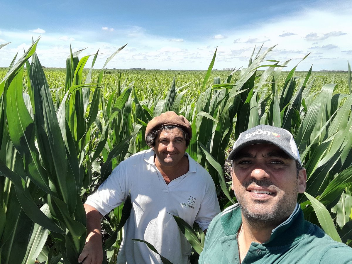 Mariano Martinez tweet media