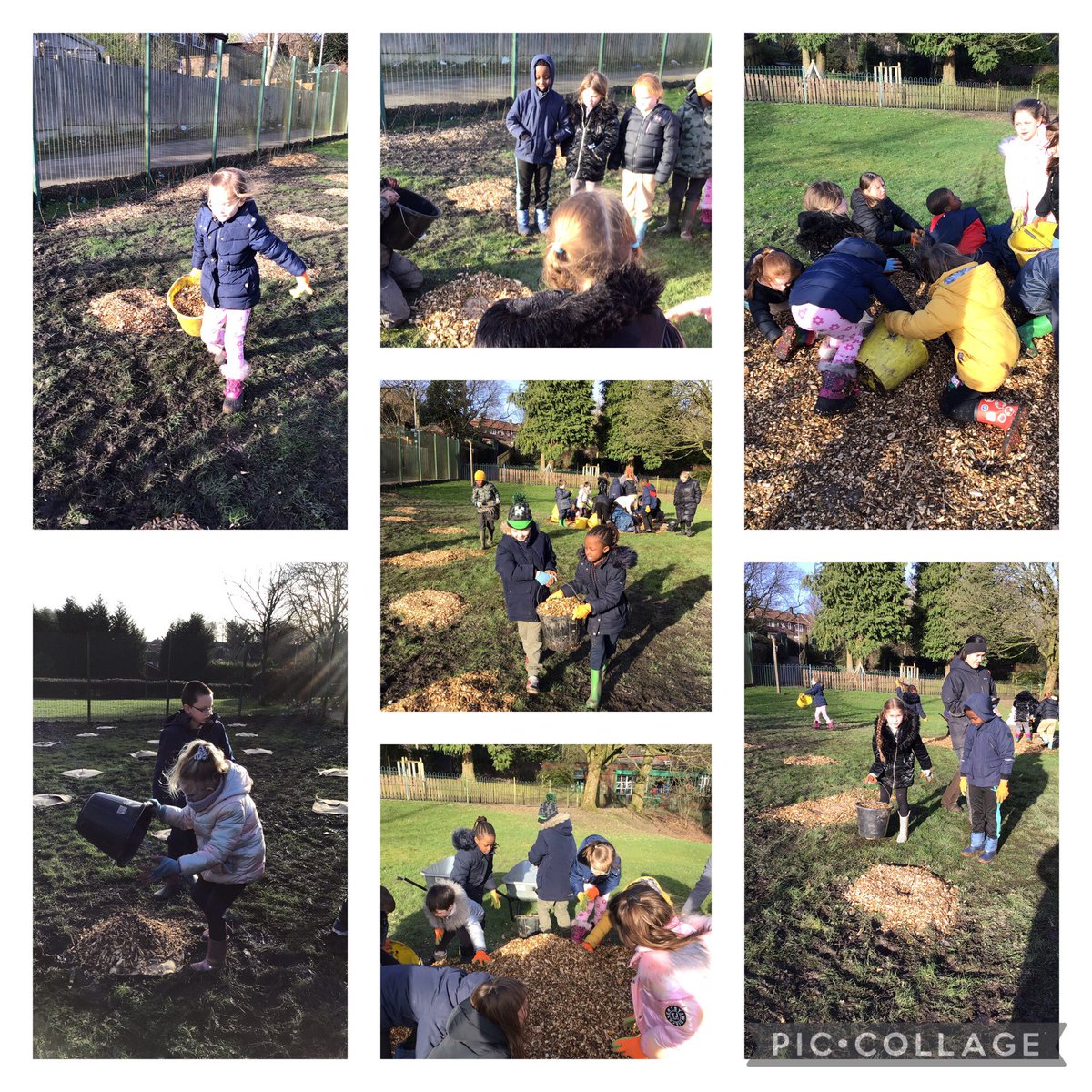 Year 2 have been planting trees near the tyre park. It was very blustery but lots of fun 🕊