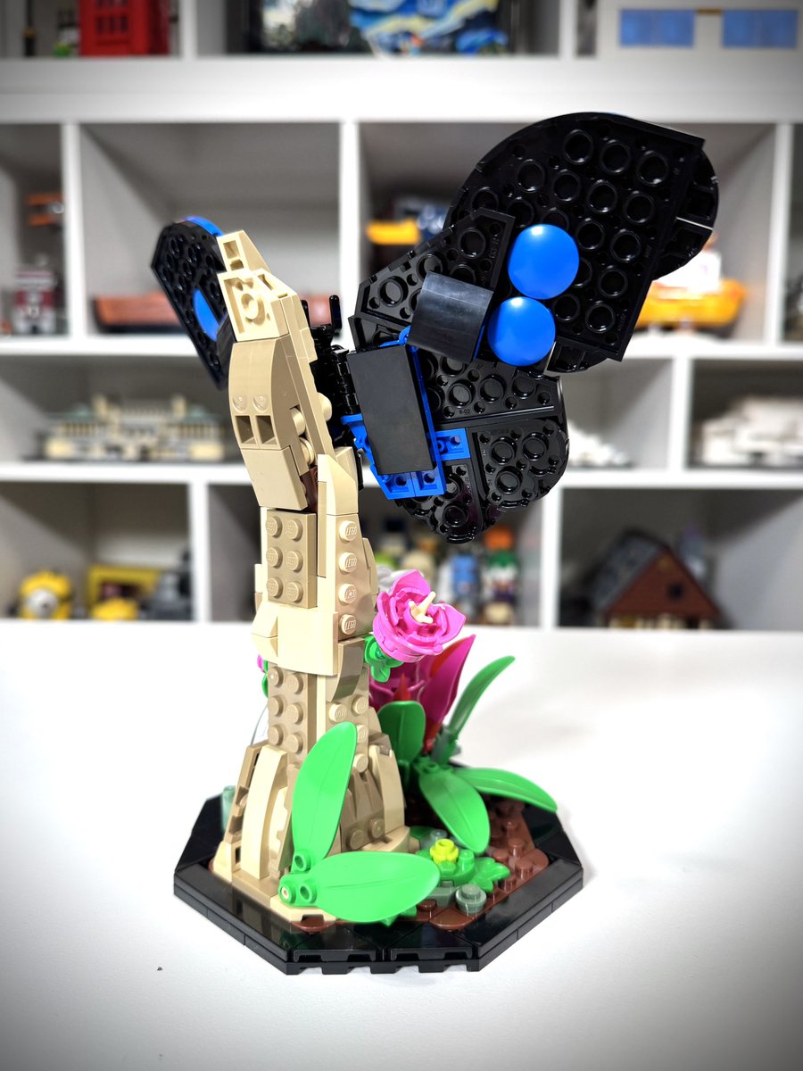 Blue Morpho Butterfly from the LEGO Ideas Insect Collection set.

I enjoyed building the 3 insects in this set a lot more than I thought I would. If you don’t have this set, you should check it out.

#NeedMoBricks #LEGO #InsectCollection #BlueMorphoButterfly #LEGOIdeas #AFOL