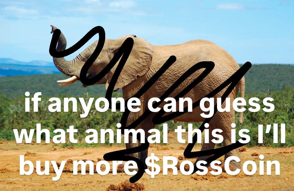 JennyKovacs3's tweet photo. @carlmoon It's time for the real parabolic moves man 
Can wait for $ROSSCOIN giga send... 🚀🚀 https://t.co/zirLeMIGke